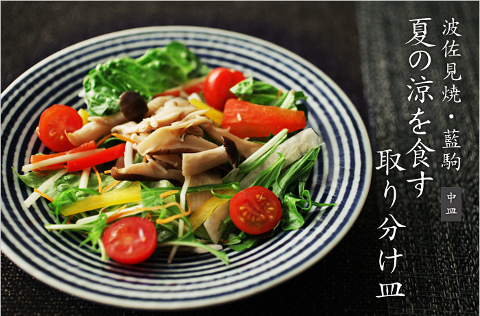 馬場商店 波佐見焼き 藍駒(あいこま) 中皿