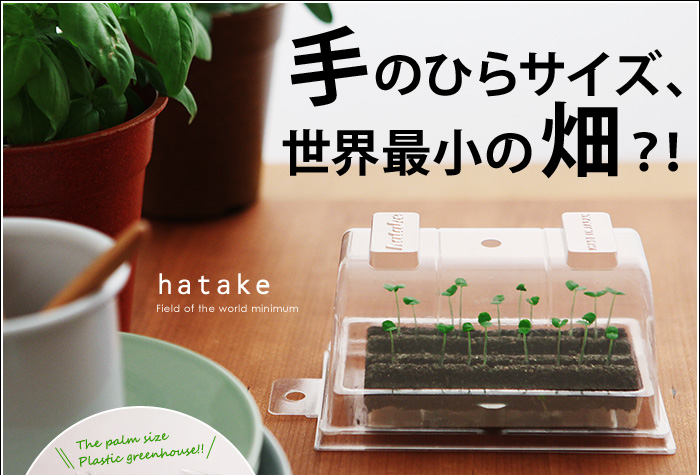 手のひらサイズ、世界最小の畑?!