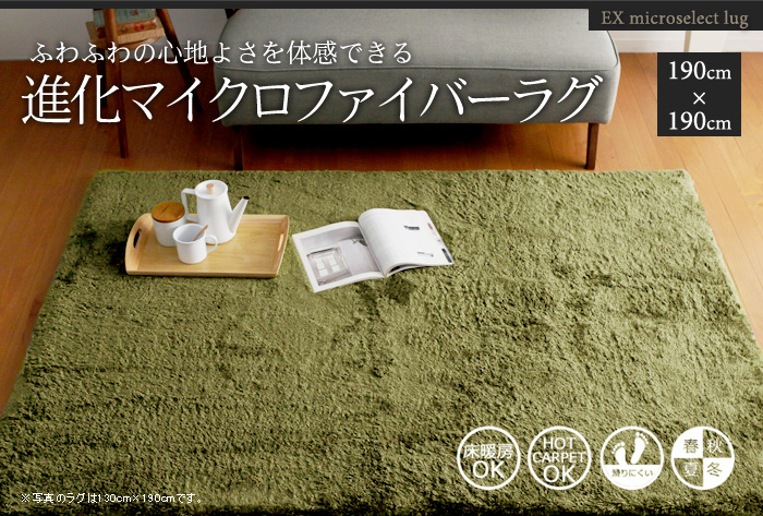 ふわふわの心地よさを体感できる 進化マイクロファイバーラグ