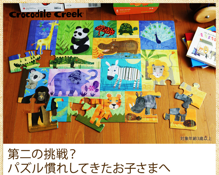 第二の挑戦?パズル慣れしてきたお子さまへ