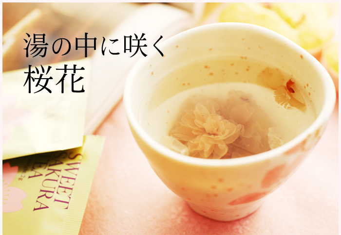 湯の中に咲く桜花