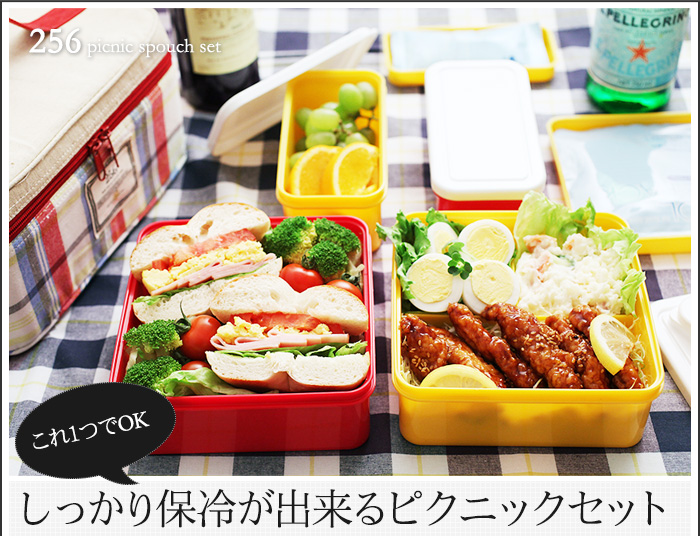 これ1つでOK しっかり保冷が出来るピクニックセット