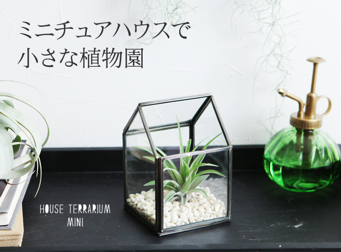 ミニチュアハウスで小さな植物園