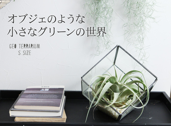 オブジェのような小さなグリーンの世界