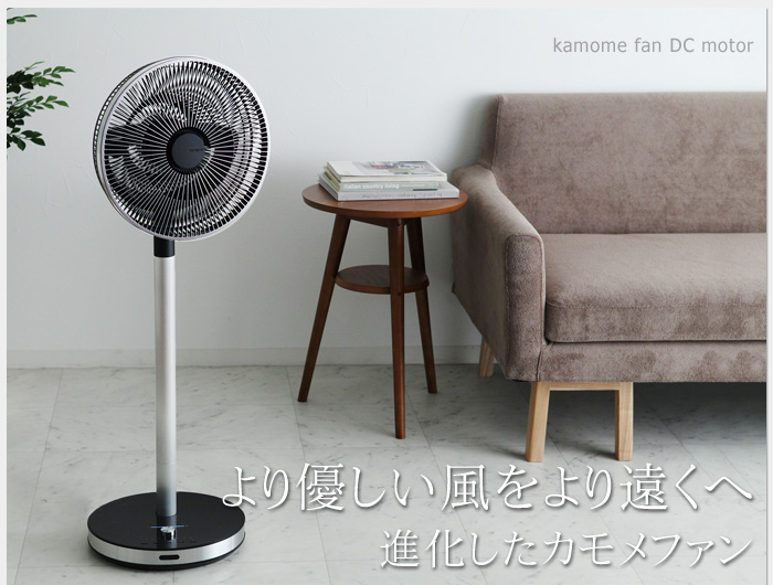 より優しい風をより遠くへ 進化したカモメファン