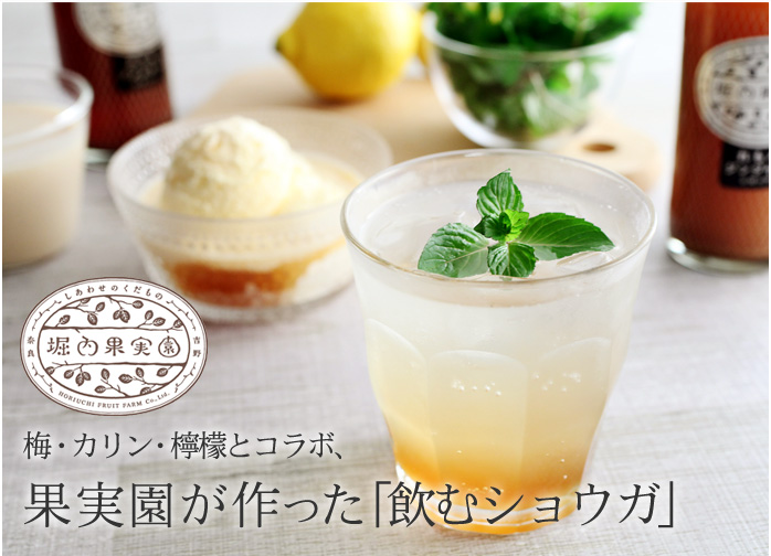 果実園が作った飲むショウガ