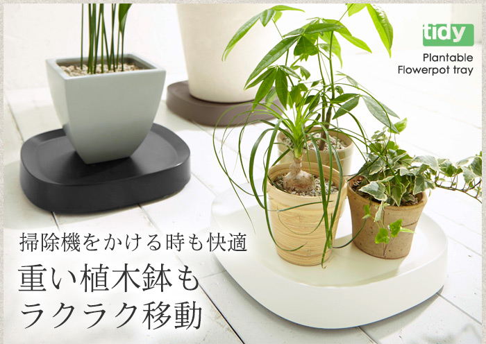 掃除機をかける時も快適 重い植木鉢もラクラク移動