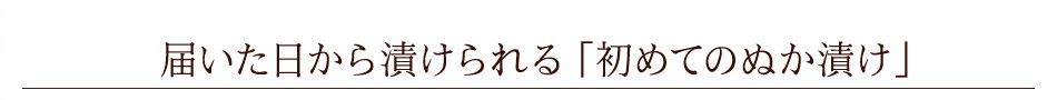 届いた日から漬けられます「初めてのぬか漬け」