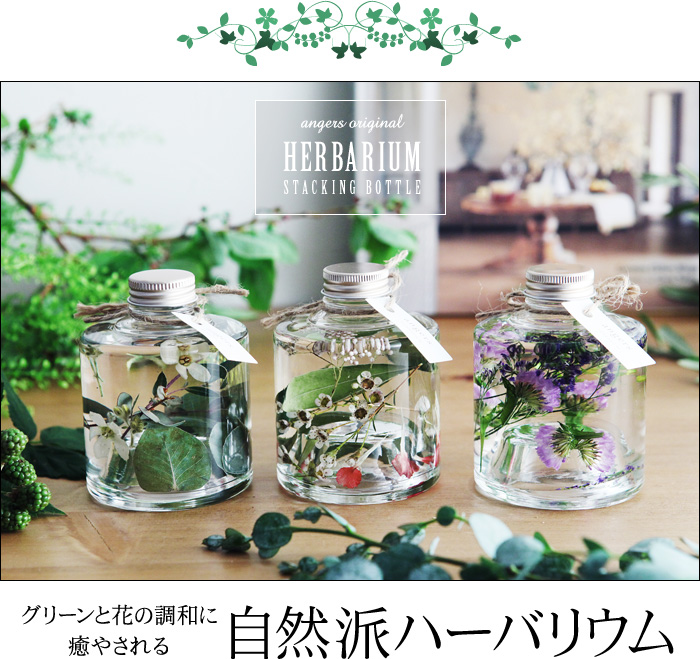 グリーンと花の調和に癒やされる 自然派ハーバリウム