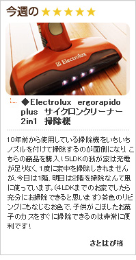 Electrolux　ergorapido　plus（エレクトロラックス　エルゴラピードプラス）　サイクロンクリーナー2in1　
