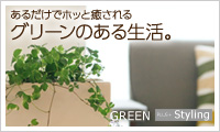 観葉植物