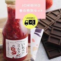 【ICHIBIKO 春の特別セット】いちごミルクのもと×イチゴチョコレートセット【送料無料】