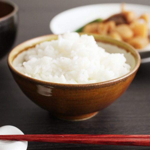 益子焼　和田窯　伝統釉　飯椀