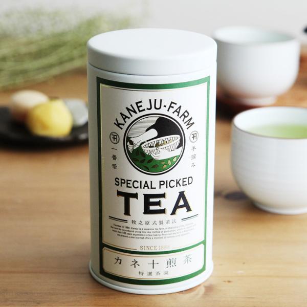 カネ十農園 カネ十煎茶 特選茶園 缶入 100g