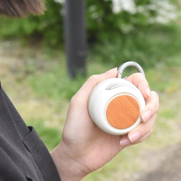 ポケットファン カラビナ付き 小型扇風機 携帯扇風機 DFHD227