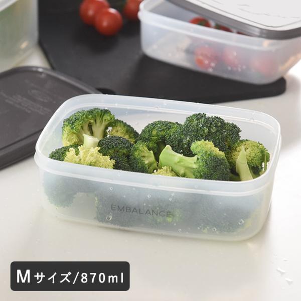 鮮度保持 レクタングルコンテナ M 870ml／エンバランス