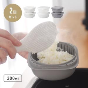 蒸気であたためる冷凍ごはん容器 2個組／ライクイット