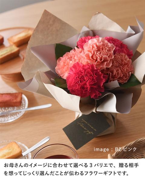 21 母の日のお花 Merci メルシー スイーツセット 送料無料 アンジェ Web Shop 本店 21 母の日のお花 Merci メルシー スイーツセット 送料無料 アンジェ Web Shop 本店