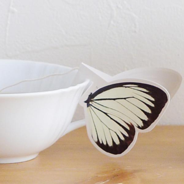 バタフライティー HANASAKA roots of kutani ｜ アンジェ web