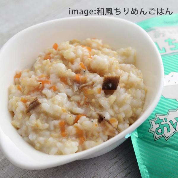 HOZONHOZON 防災シリーズ おいしいごはん 長期保存対応食品 HOZONHOZON 防災シリーズ おいしいごはん 長期保存対応食品