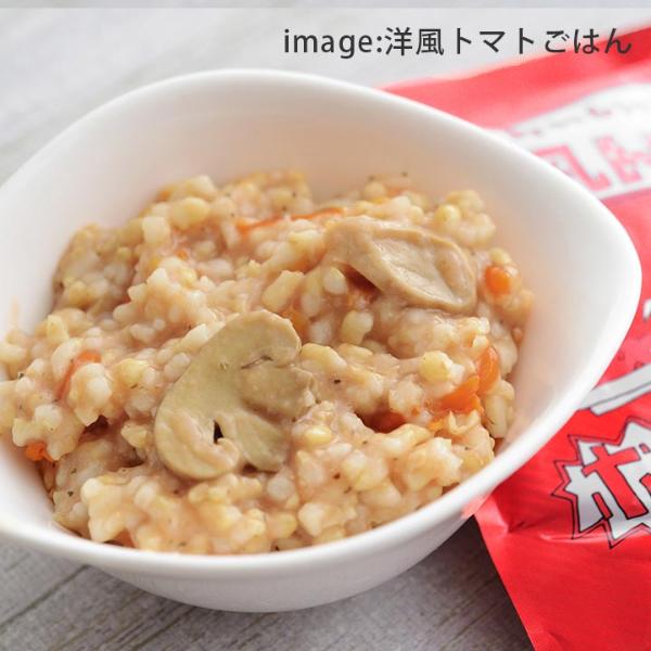 HOZONHOZON 防災シリーズ おいしいごはん 長期保存対応食品