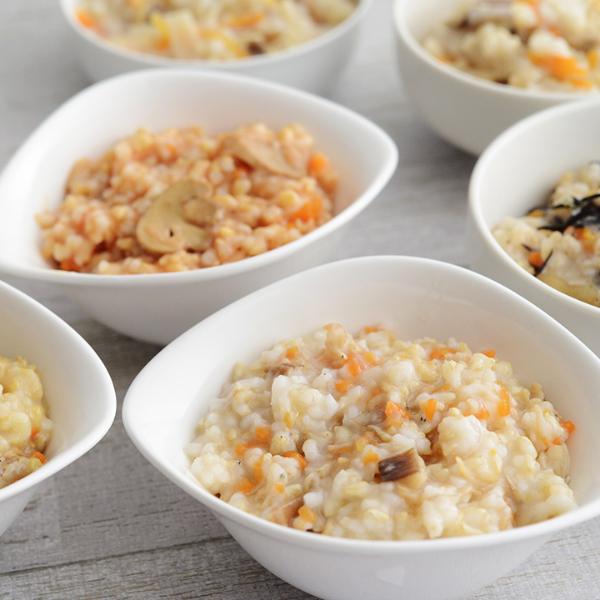 HOZONHOZON 防災シリーズ おいしいごはん 長期保存対応食品