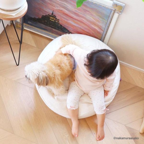 ZIP!』で話題】bon moment リビングクッションになる 掛け布団収納