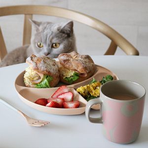 bon moment 電子レンジ＆食洗機が使える 仕切りプレート／ボンモマン