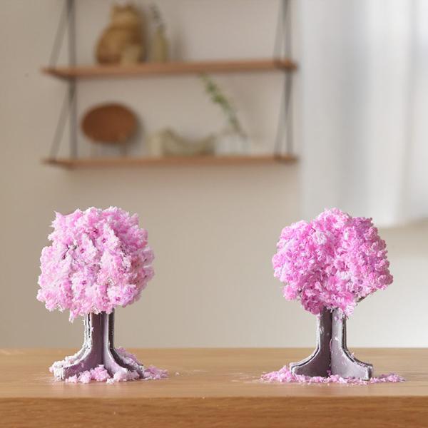 モコモコ育つ魔法の桜 桜の都【プチギフト】 ｜ アンジェ web shop（本店）
