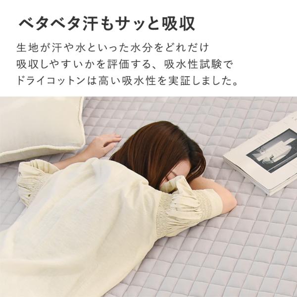 お値下 JAVED(ジェーブド)　コットンラグ （サイズ：200×200cm ） bonmoment ドライコットン ラグ マット 200×200cm【送料無料