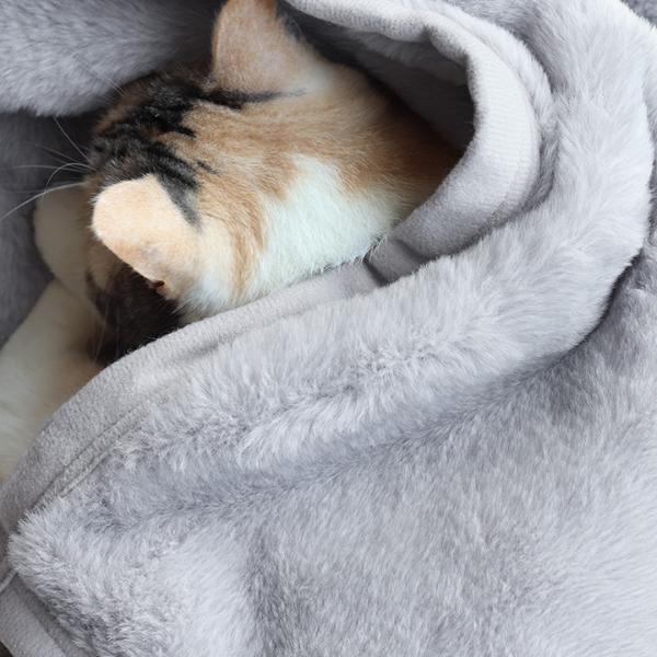 bon moment まるごと猫毛布 ブランケット ひざ掛け／ボンモマン