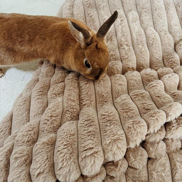 電気毛布 190x130cm ラビットファー風 とろける肌ざわりのラビットファー×たっぷりのシープボア