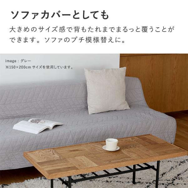 【未開封】☆タイムセール☆meemo30包 ＋フワリーモ  2セット Today's momoko 2402 - PetWORKs Store