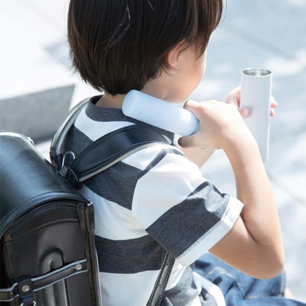 【2025年モデル】 ミニアイスパックポケット Sサイズ 携帯氷のう／Peacock ピーコック ABBーS07