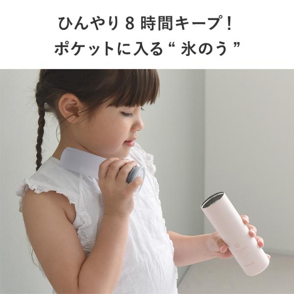 2025年モデル】 ミニアイスパックポケット Sサイズ 携帯氷のう