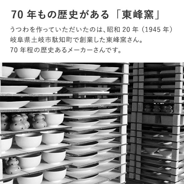 bon moment 料理が引き立つ 毎日のうつわ オーバルプレートL 美濃焼