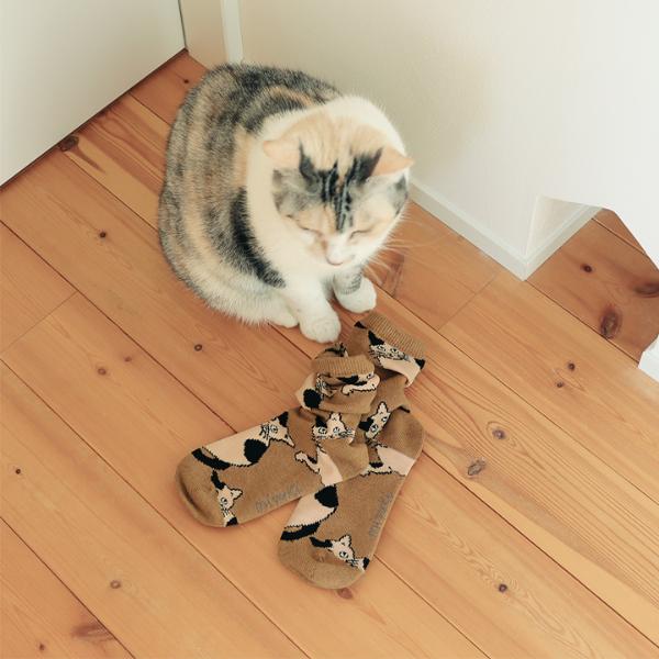 ユキ　猫猫Ｓ11/9 松尾ミユキ / Matsuo Miyuki】フェザー ヤーン ブランケット Chloe