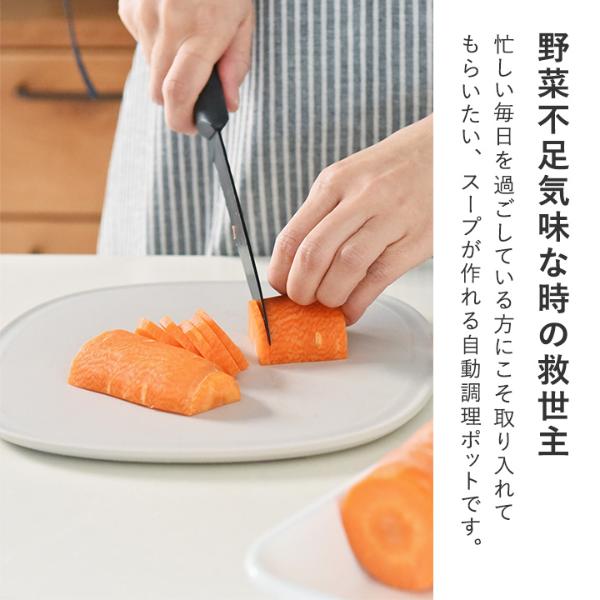 ほったらかしでスープも作れる 自動調理ポット ラージ 800ml／レコルト