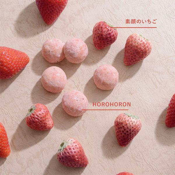 いちごが主役、まるごとあじわうHOROHORONセット／苺が主役。 母の日