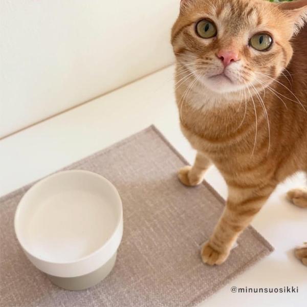 bon moment cat 猫にやさしい 脚付きフードボウル／ボンモマンキャット