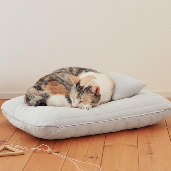 ひんやりドライコットン bon moment cat ドライコットン さらさら