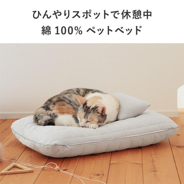 ひんやりドライコットン bon moment cat ドライコットン さらさら