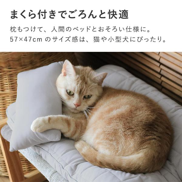 ひんやりドライコットン bon moment cat ドライコットン さらさら