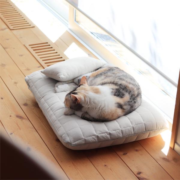 ひんやりドライコットン bon moment cat ドライコットン さらさら