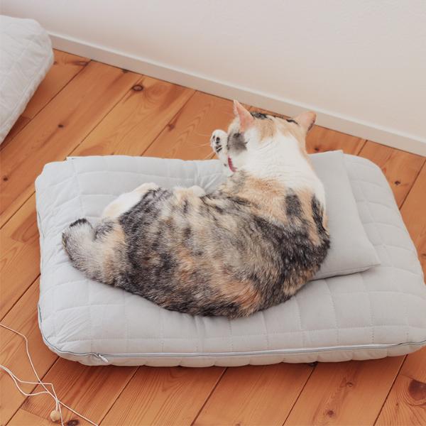 ひんやりドライコットン bon moment cat ドライコットン さらさら