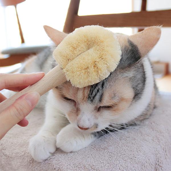 ネコちゃんブラシ（猫用たわし） ｜ アンジェ web shop（本店）