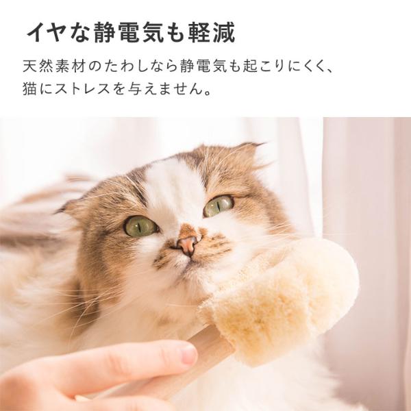 ネコちゃんブラシ（猫用たわし） ｜ アンジェ web shop（本店）