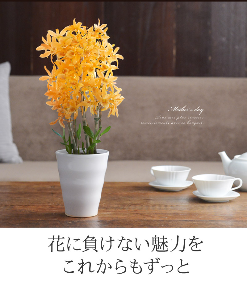花に負けない魅力をこれからもずっと