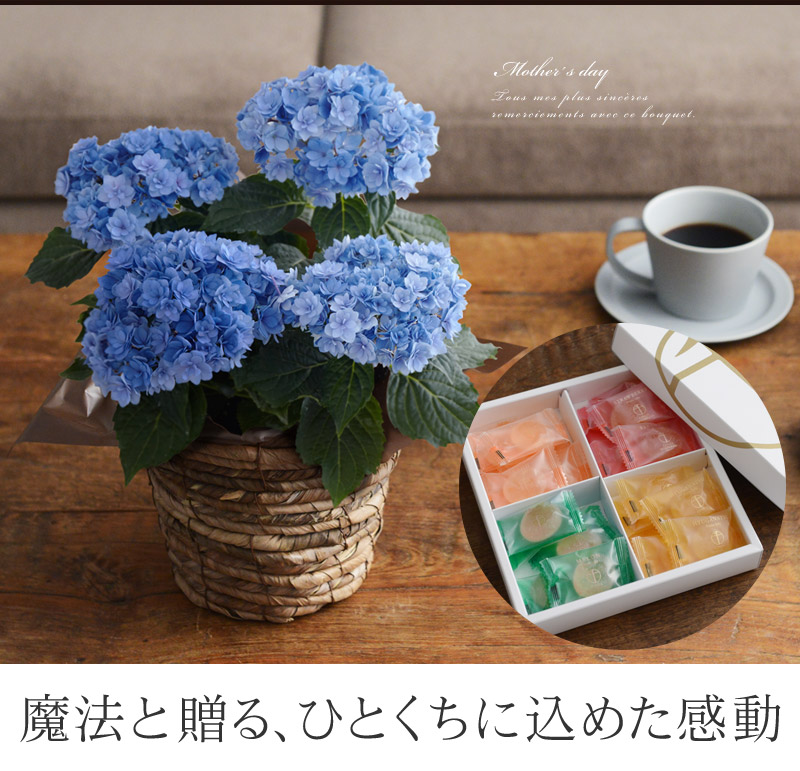 魔法と贈る、ひとくちに込めた感動