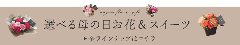 母の日特集